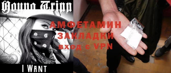 ECSTASY Бородино