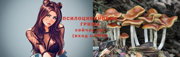 мяу мяу кристалл Верея