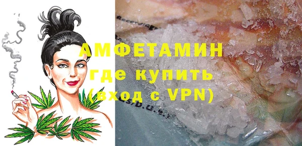 ECSTASY Бородино