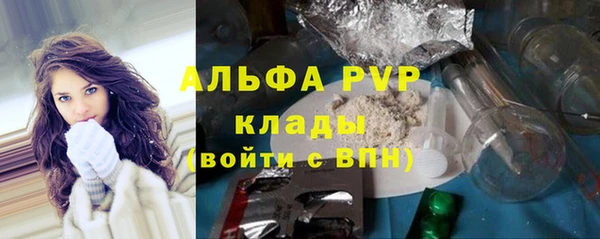 ECSTASY Бородино