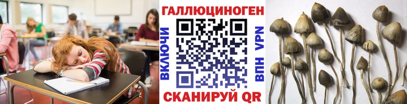 дарк нет наркотические препараты  Горняк  Галлюциногенные грибы ЛСД  магазин   
