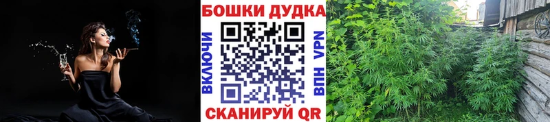 Бошки марихуана план  hydra рабочий сайт  Горняк 